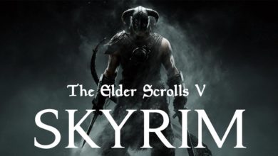 The Elder Scrolls V: Skyrim