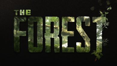 The Forest