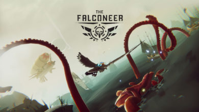 The Falconeer