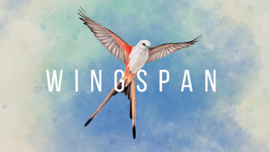 Wingspan