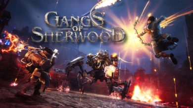 Gangs of Sherwood